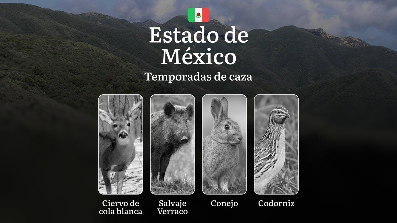 Temporadas y períodos de caza en el Estado de México: Periodos Legales, Comportamiento de la Fauna y Requisitos para la Licencia