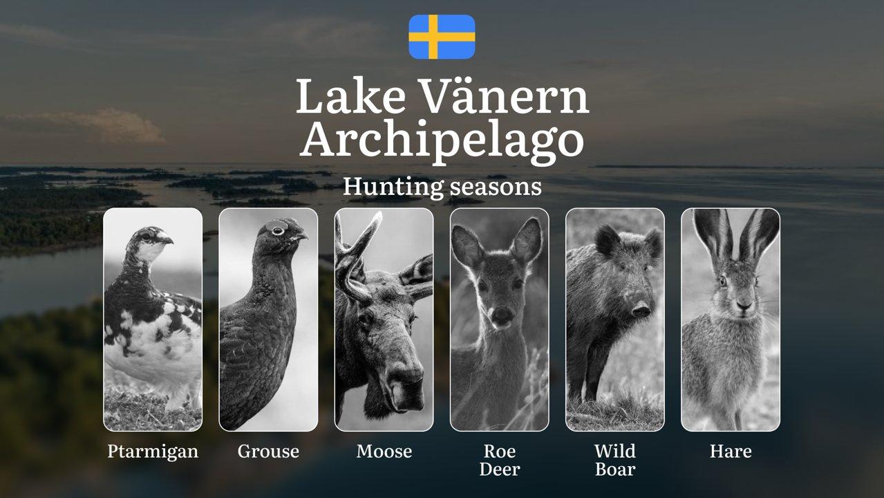 Hunting Periods and Permits in VÄNERN ARCHIPELAGO: A Detailed Look at Game Movement Throughout the Year, Seasonal Limits, and How to Apply for a Hunting License in the Area
