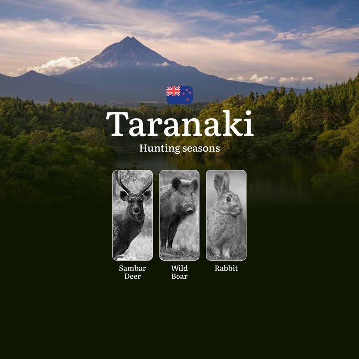 Hunting Seasons in New Zealand: TARANAKI Region Overview – Seasons, Open and Close Dates, Licenses, Rules, and Best Times to Hunt in New Zealand

Hunting Rules and Season