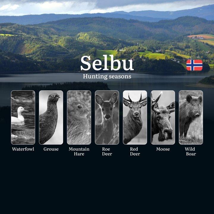 Selbu: Hunting Seasons and Timing, Regulations and Licensing, Required Documents and Procedures, Tips for Hunters