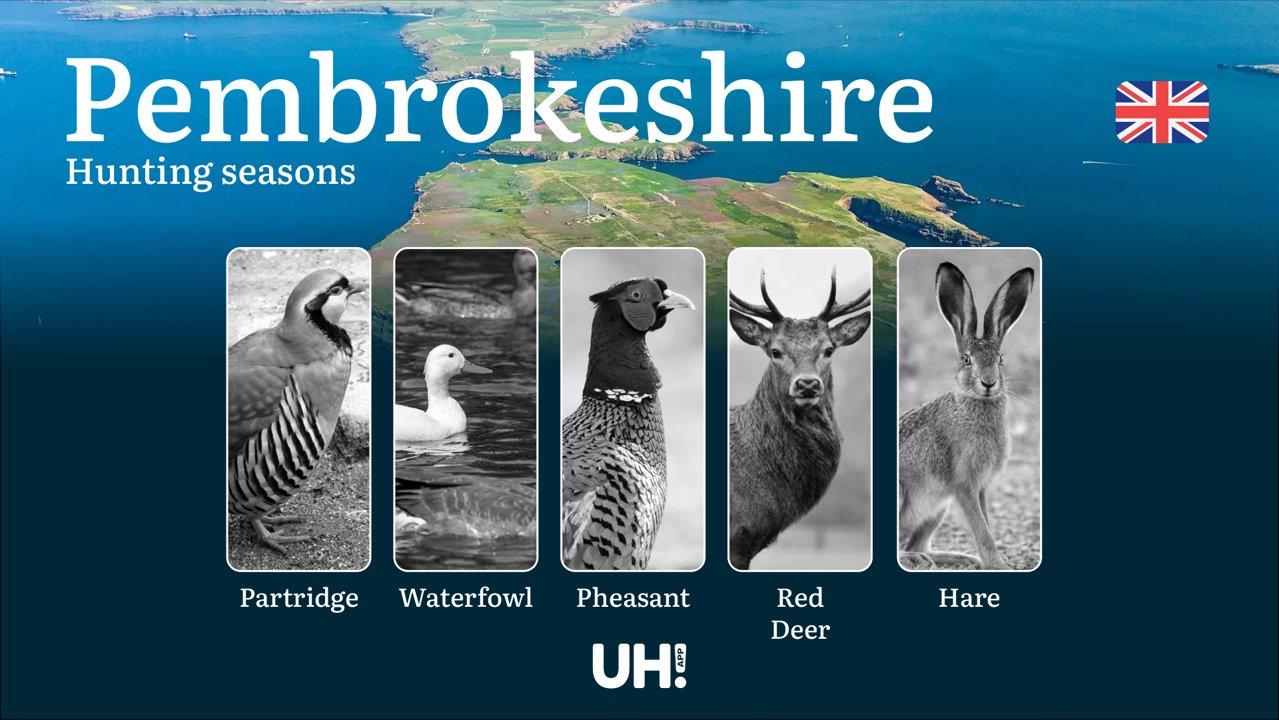 <strong>Hunting</strong> Seasons and Regulations in Pembrokeshire: Seasonal Game Patterns and License Requirements for Responsible <strong>Hunting</strong>

Pembrokeshire