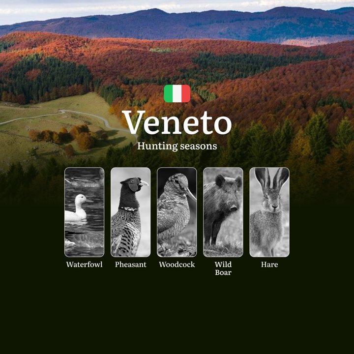 When to Hunt in Veneto: A Seasonal Breakdown of Alpine Meadows and Po Valley Opportunities

The Veneto region offers a wide range of hunting opportunities across its dive