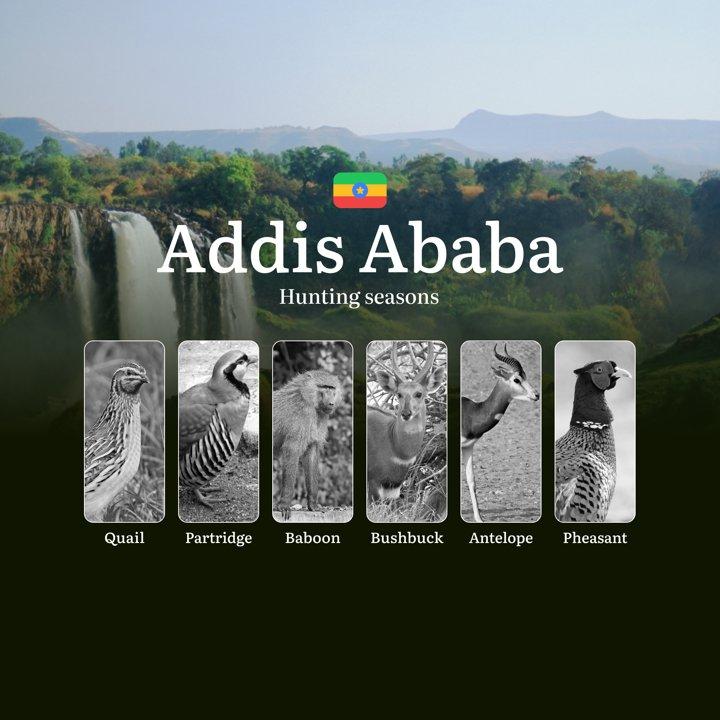 Hunting Seasons in Ethiopia, Features of the ADDIS ABABA Region: Time and Dates, Prohibited Species and Legal Restrictions