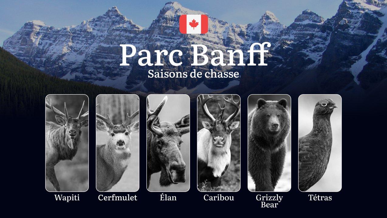 Les périodes de chasse dans le PARC NATIONAL BANFF: saisons d'ouverture, particularités réglementaires uniques et stratégies locales