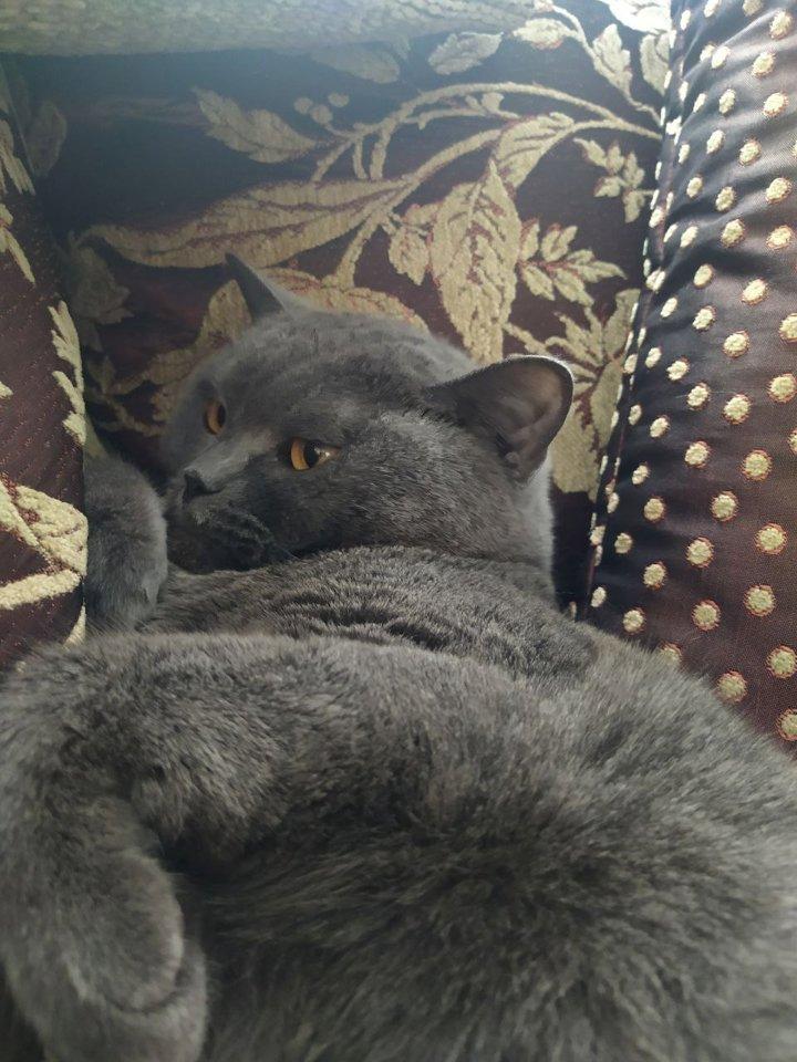 Люся