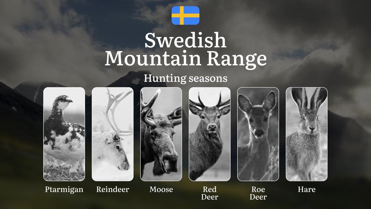 Hunting Periods in SWEDISH MOUNTAIN RANGE: When and What You Can Hunt, Seasonal Game Patterns, and Everything You Need to Know to Obtain a Valid Hunting License in the Region
