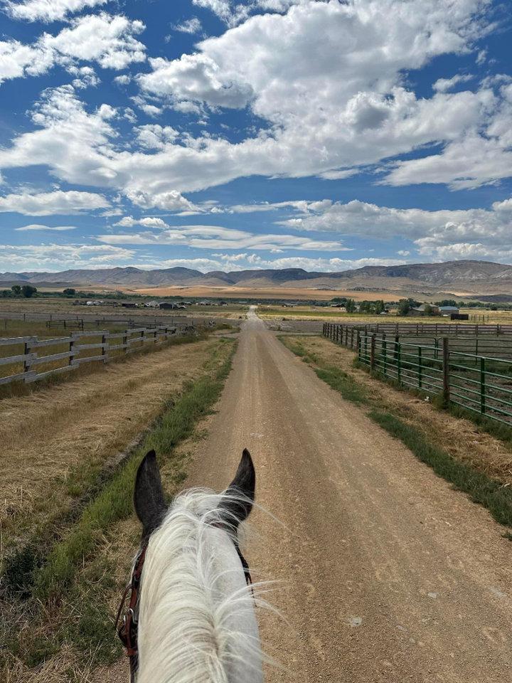 🐎