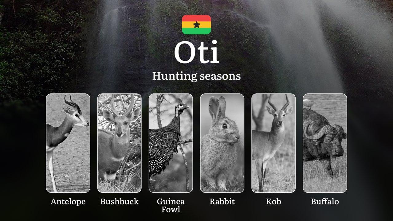 Hunting Seasons of Oti: Exploring General Hunting Rules, Legislation and Permits, Hunter Events and Cultural Experiences