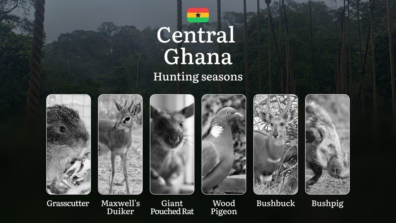 Hunting Seasons of the Central Region: Exploring General Hunting Rules, Legislation and Permits, Hunter Events and Cultural Experiences

Hunting Seasons and Legal Framewo