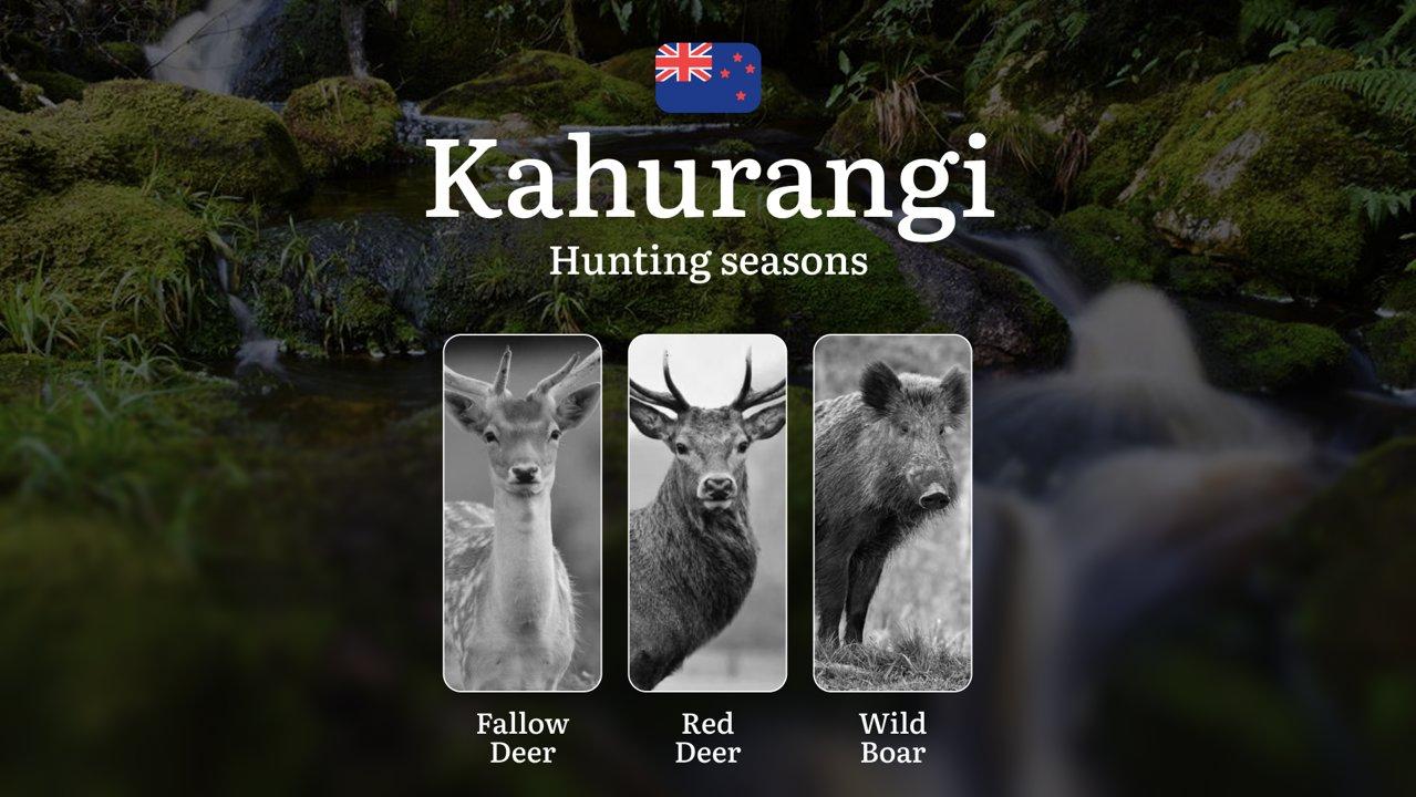 KAHURANGI National Park, New Zealand: Hunting Periods, Opening and Closing Dates, Licenses, Rules, and Best Times for Hunting

How the Hunting System Works in Kahurangi N
