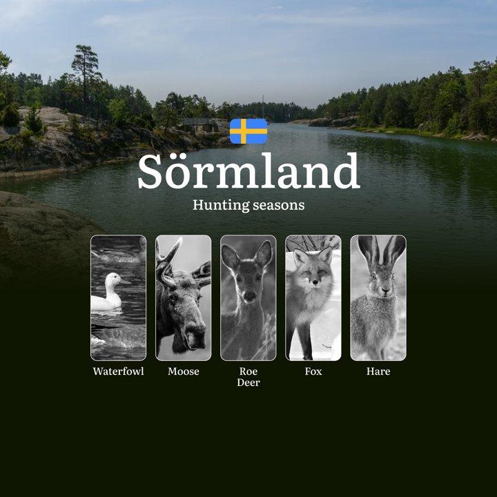 <strong>Hunting</strong> Seasons and Regulations in SÖRMLAND: Seasonal Patterns and Game Activity, How to Obtain a <strong>Hunting</strong> License in the Region

Plannin