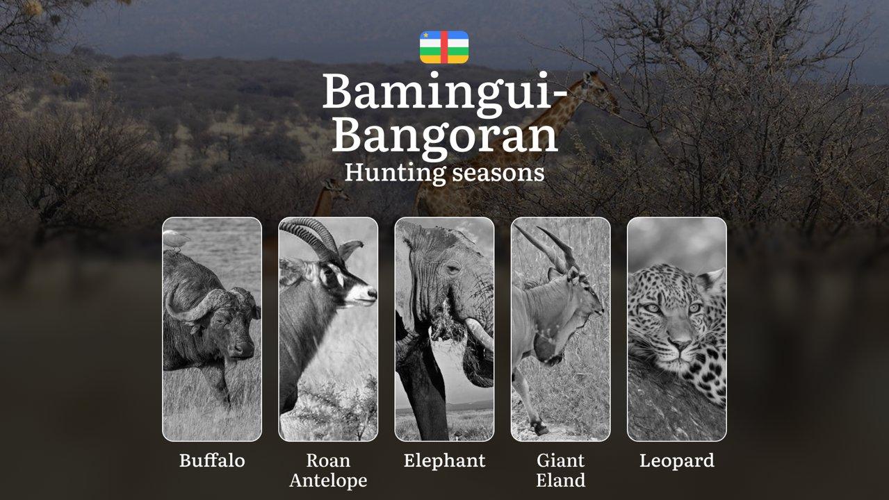 Hunting Laws and Seasons in Bamingui-Bangoran: General Hunting Rules, Permits, Restrictions & Time-Honored Events 
General Hunting Rules and Seasons in Bamingui-Bangoran
