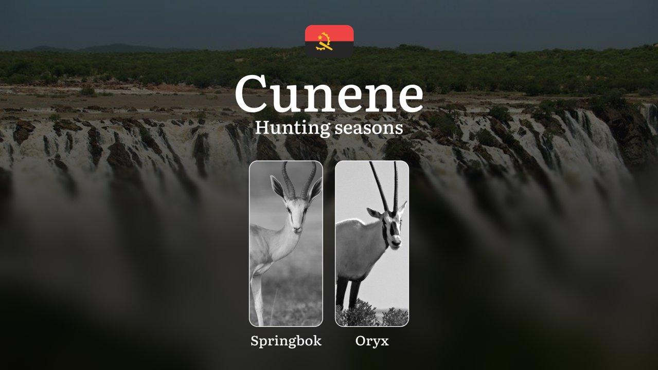 Hunting Calendar in Cunene: The Thrill of Hunting Events and Traditions, Legislation & General Hunting Rules and Permits

General Hunting Rules and Seasons in Cunene

The