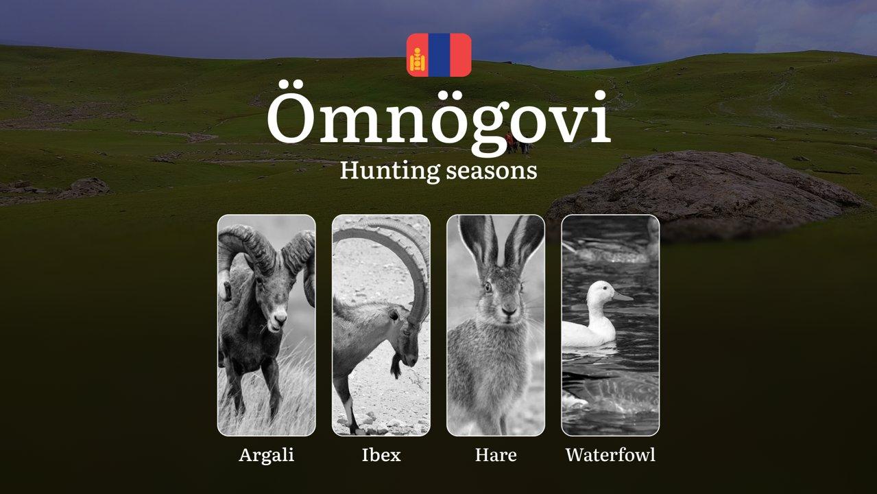Hunting Seasons in Ömnögovi Province: Restrictions, Bans, and Protected Species, Choosing Timing, Gear, and Tactics