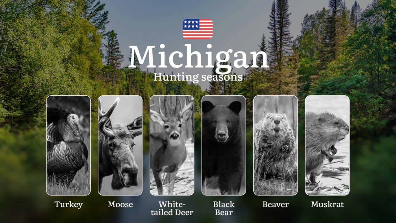 Hunting Seasons in Michigan: Timing, Regulations, Permits and Tactics, Restrictions and Bans, Fines and Legal Liability

Hunting in the state of Michigan is not only an e