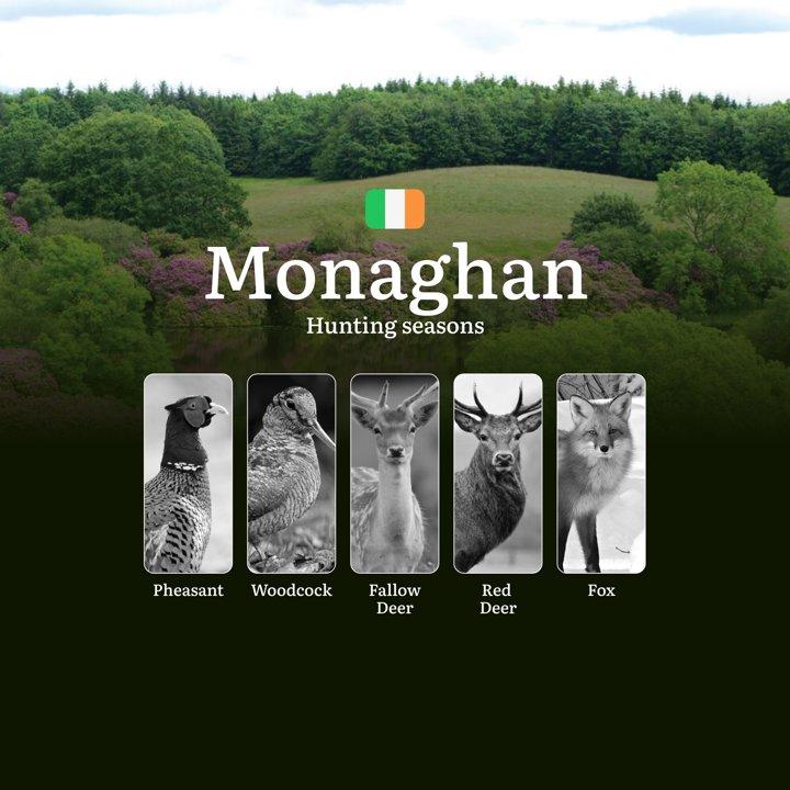 MONAGNAN'S Hunting Calendar: When the Emerald Fields Come Alive - Pheasant, Deer and Irish Game Pursuits

Hunting Regulations & Seasonal Framework in Monaghan

County Mon