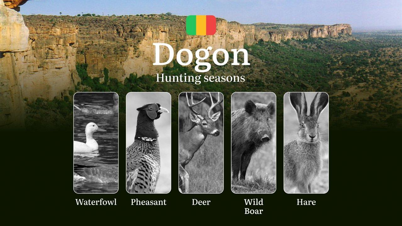 Hunting Periods in Dogon: Peak Hunting Periods for Large and Small Game, What’s Off Limits, Rules and Exceptions, Getting Your Hunting Pass, Gear, Spots, and Best Times