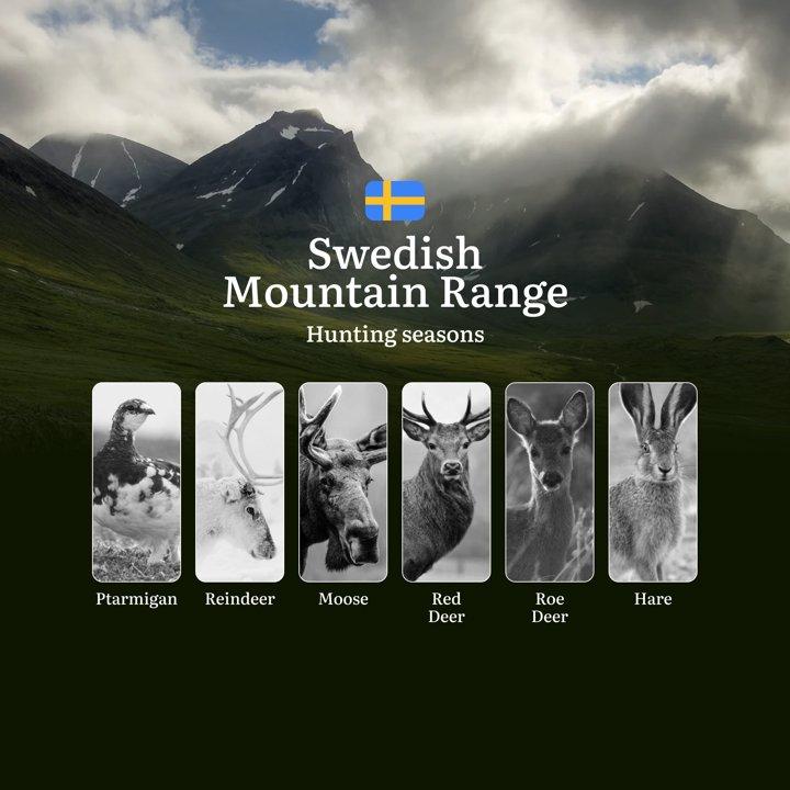 Hunting Periods in SWEDISH MOUNTAIN RANGE: When and What You Can Hunt, Seasonal Game Patterns, and Everything You Need to Know to Obtain a Valid Hunting License in the Re
