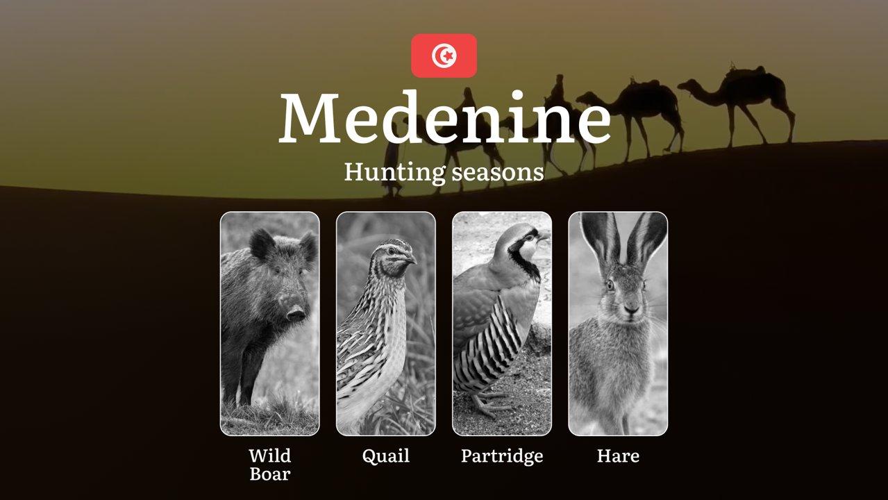 Hunting Seasons in MEDENINE: Optimal Periods, Regulatory Protections, Restricted Periods, Licensing Process and Practical Recommendations