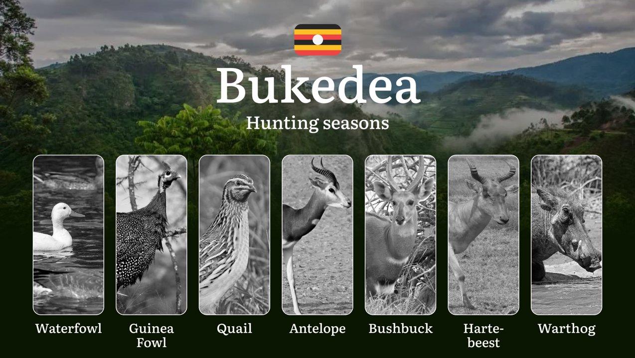 Hunting Season Dates in Bukedea: Regulatory Caps and Seasonal Closures, License Requirements, Penalties and Legal Outcomes for Infractions, Strategic Planning, Best Timing, Equipment Selection