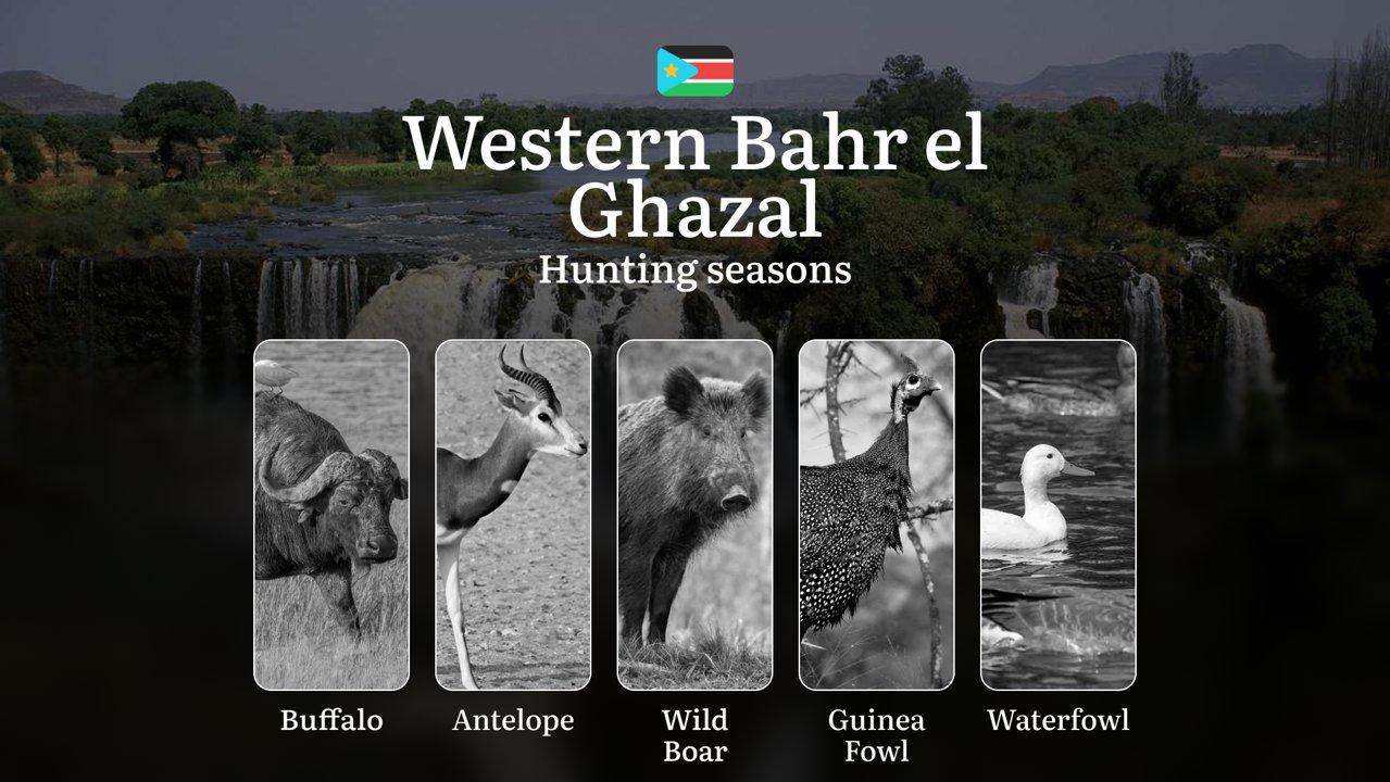 Hunting Calendar for Western Bahr el Ghazal: Regulations, Permits, and Best Times for Hunting