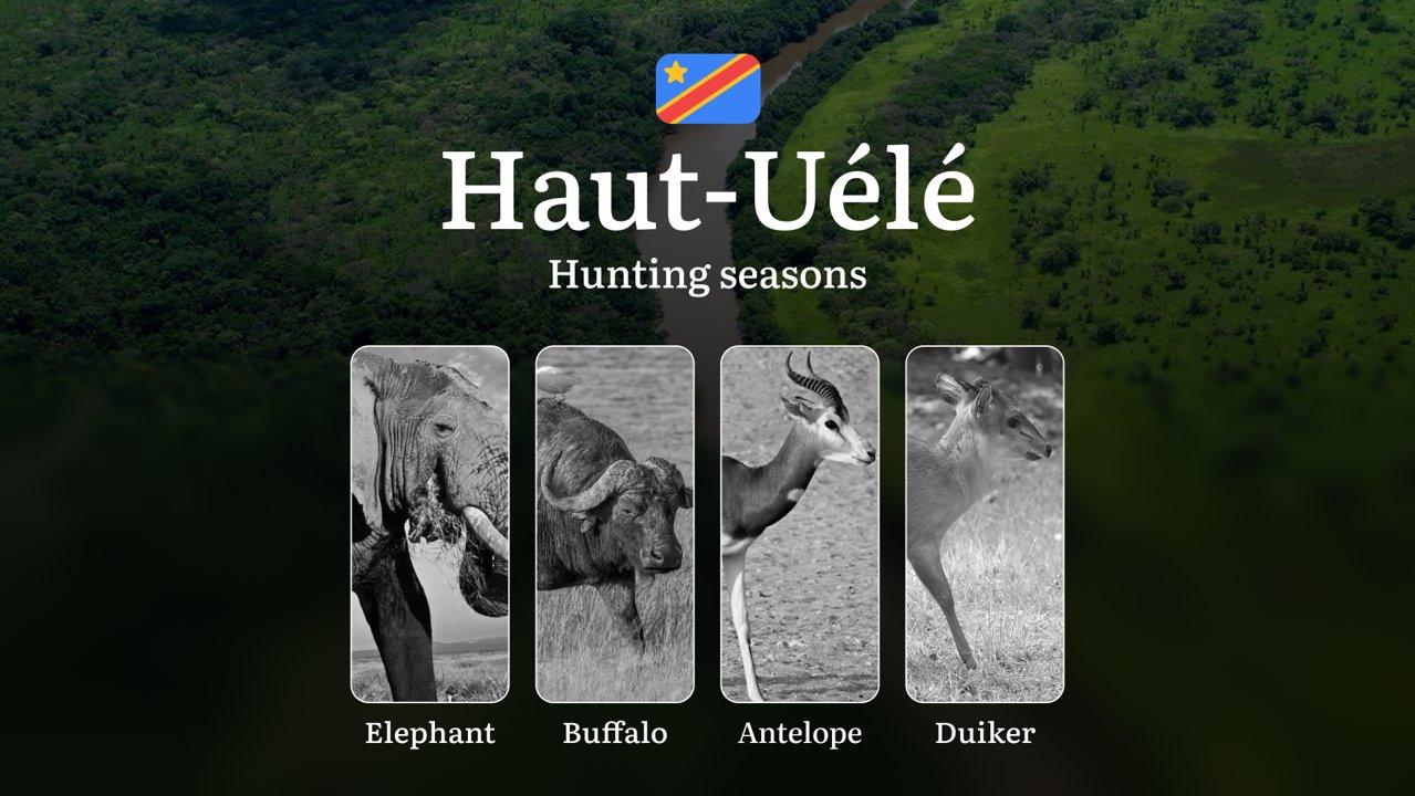 Hunting Calendar for Haut-Uélé: Regional Hunting Rules, Licensing Procedures, Off-Season Violation Penalties, and Strategic Advice on Timing, Equipment, and Techniques 