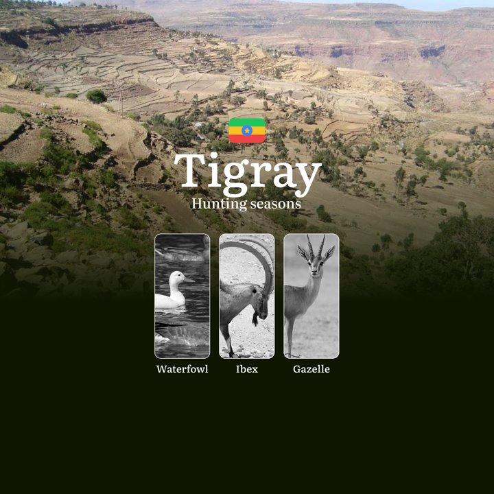 TIGRAY Region, Ethiopia: Hunting Seasons, Features, Licenses and Current Regulations, Recommendations for Choosing Time and Location