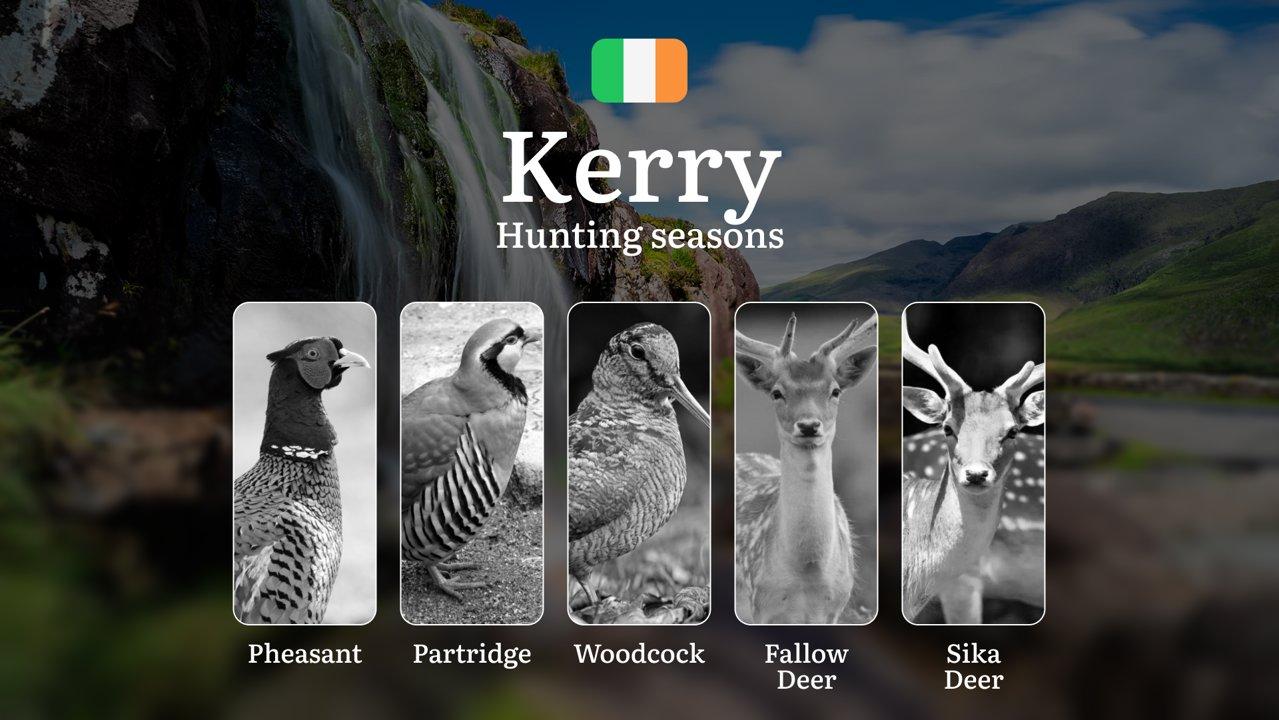 Following the Wild Pulse: Hunting Calendar, Seasons, Rules, and Rhythms in County KERRY

Understanding Hunting Seasons and Wildlife Management in County Kerry

County Ker