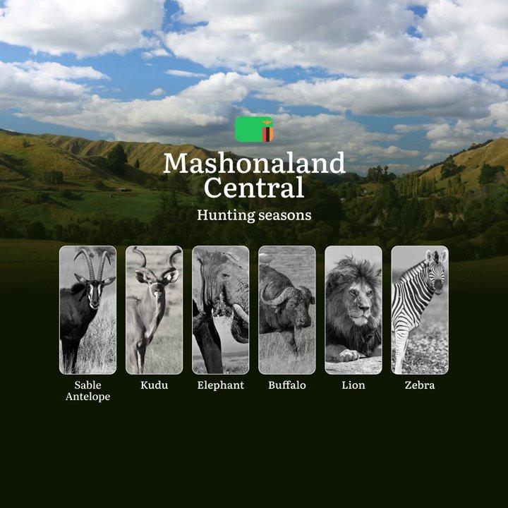 When the Dry Season Calls: Hunting Calendar, Regulations and Prime Opportunities in Zambia's Mashonaland Central
 
General Hunting Rules and Timings in Mashonaland Centra