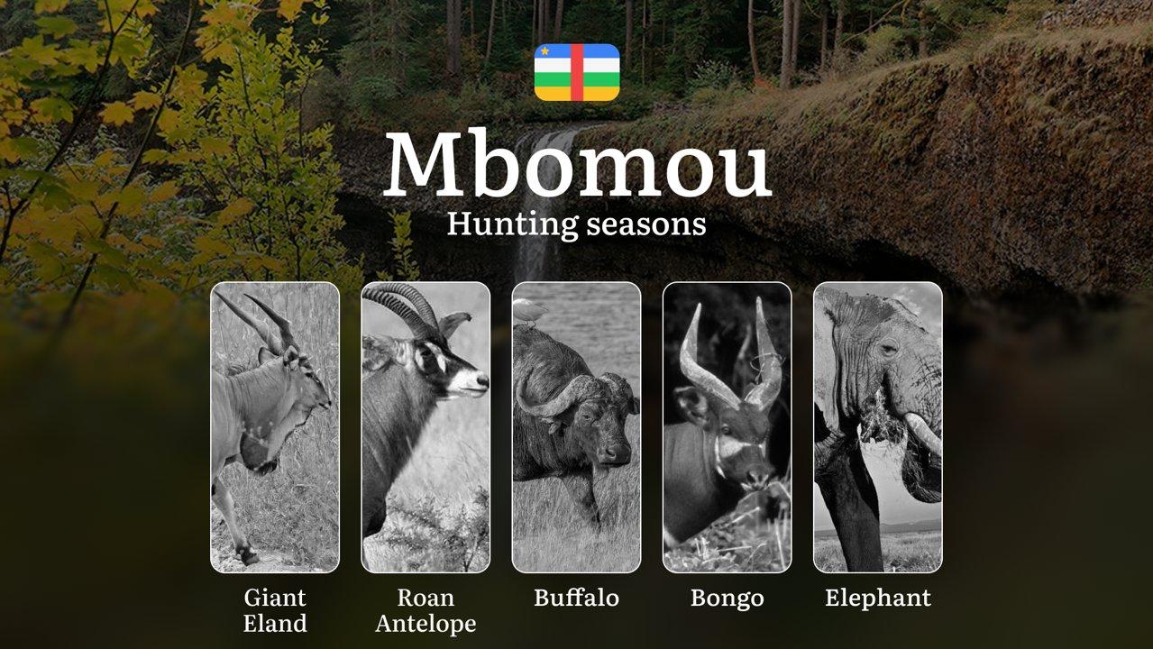Hunting Calendar in Mbomou: The Thrill of Hunting Events and Traditions, Legislation & General Hunting Rules and Permits