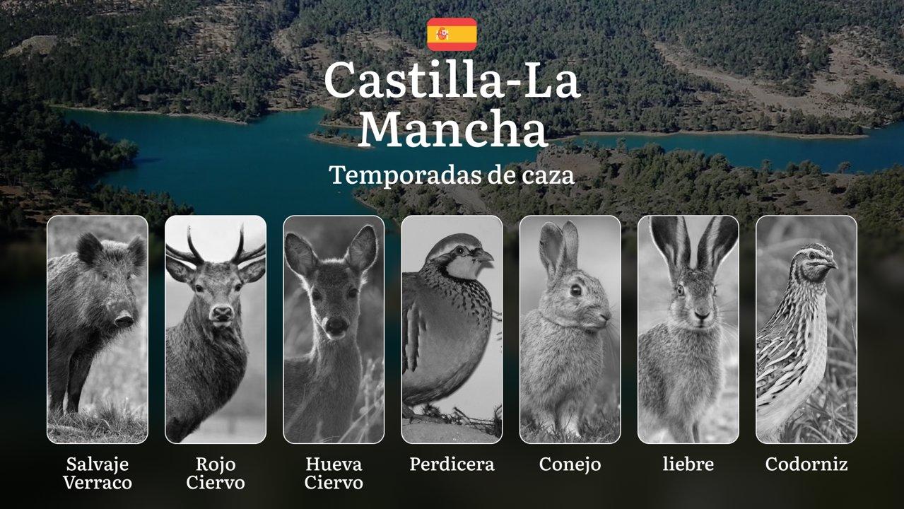 Caza en CASTILLA-LA MANCHA: Temporadas y períodos de caza, Normativas Autonómicas y Gestión de Licencias