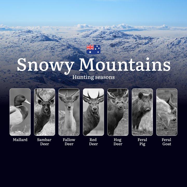 Secrets of the Snowy Mountains: When the Wild Calls – Hunting Seasons, Tactics & Trophy Moments in Australia's High Country