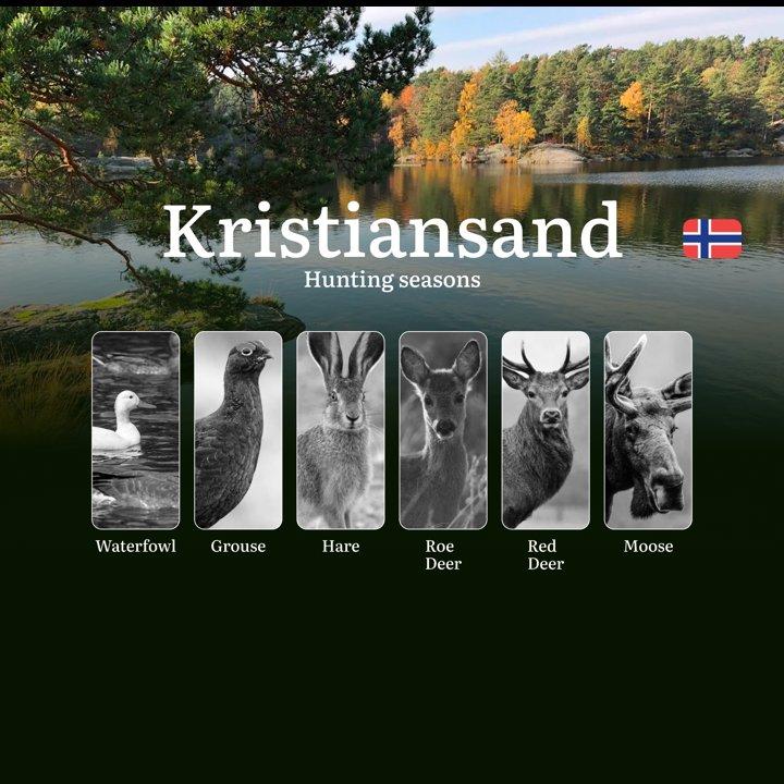 Hunting Seasons in Kristiansand: Regulations, Permits, and Time for Hunting, Documents and Organizations