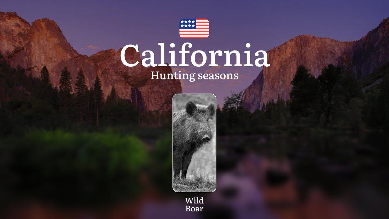 Hunting Seasons for <strong>Wild</strong> Pigs in California: Seasons, Dates, Permits, Rules and Regional Features

How <strong>Wild</strong> Pig Hunting Is Regulated in 