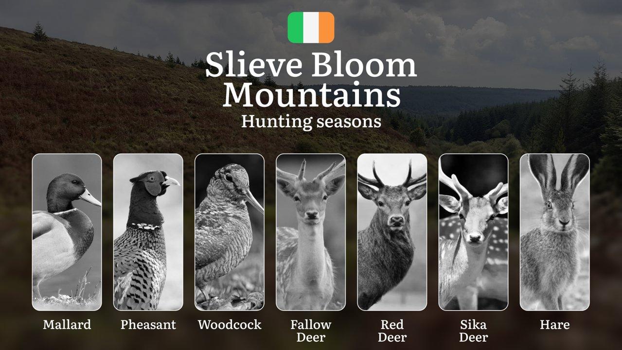 Secrets of the SLIEVE BLOOM: Mastering Hunting Calendar, Licenses, and Prime Game Opportunities in Ireland's Ancient Mountains

General Hunting Rules and Seasons in Sliev
