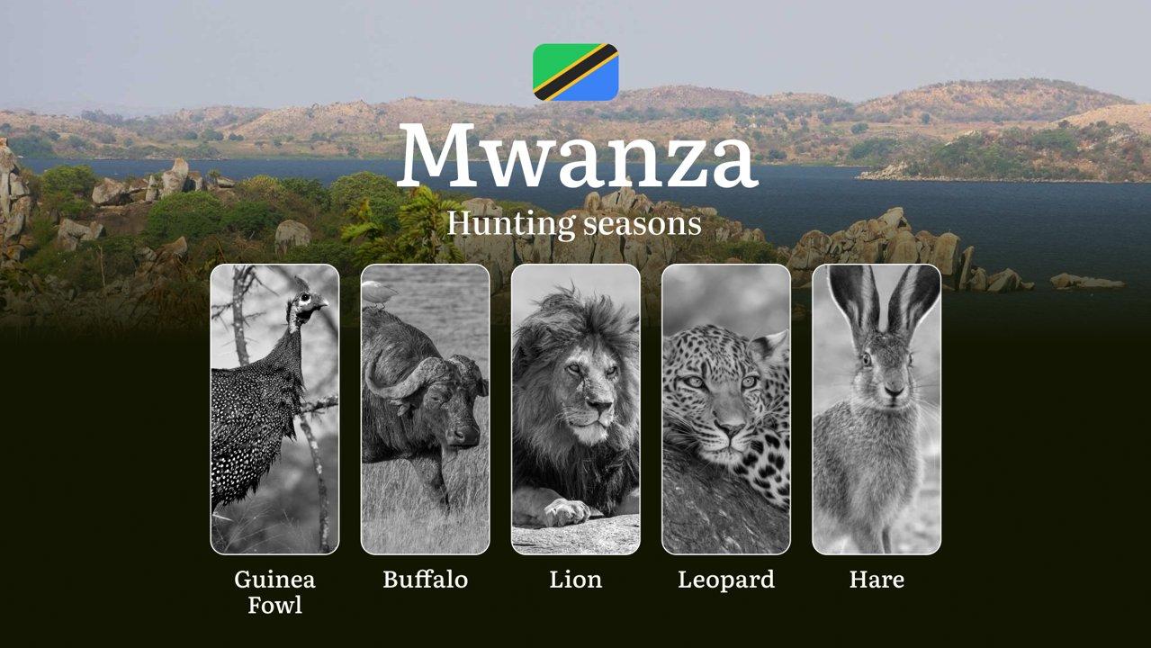 Hunting Date Ranges in Mwanza: Species Available Throughout the Year, Seasonal Game Patterns, and Steps <strong>to</strong> Acquire an Official Hunting License

Planning 