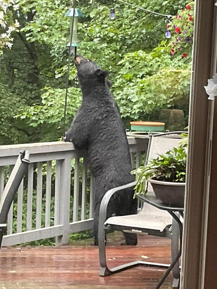 View from <strong>my</strong> window this evening.