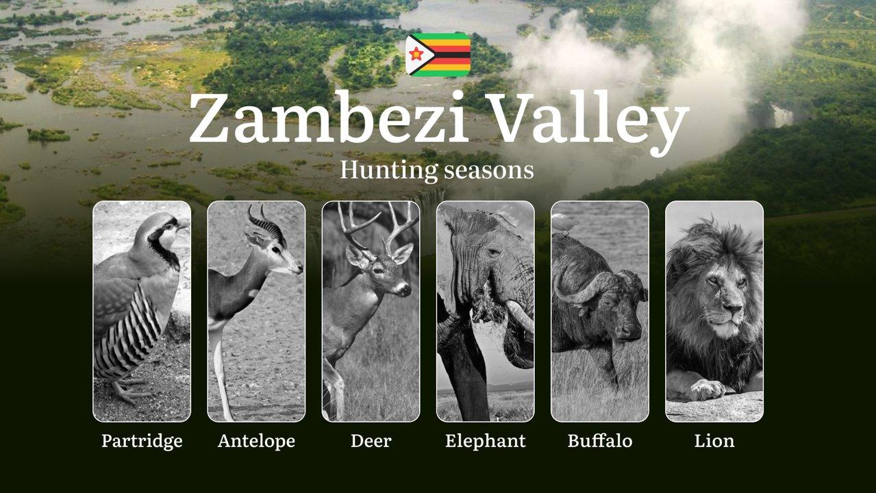 Hunting Seasons in Zimbabwe’s ZAMBEZI VALLEY: Hunting Periods, Open and Close Dates, Licenses, Rules and Times for Hunting

Hunting in the Zambezi Valley region of Zimbab