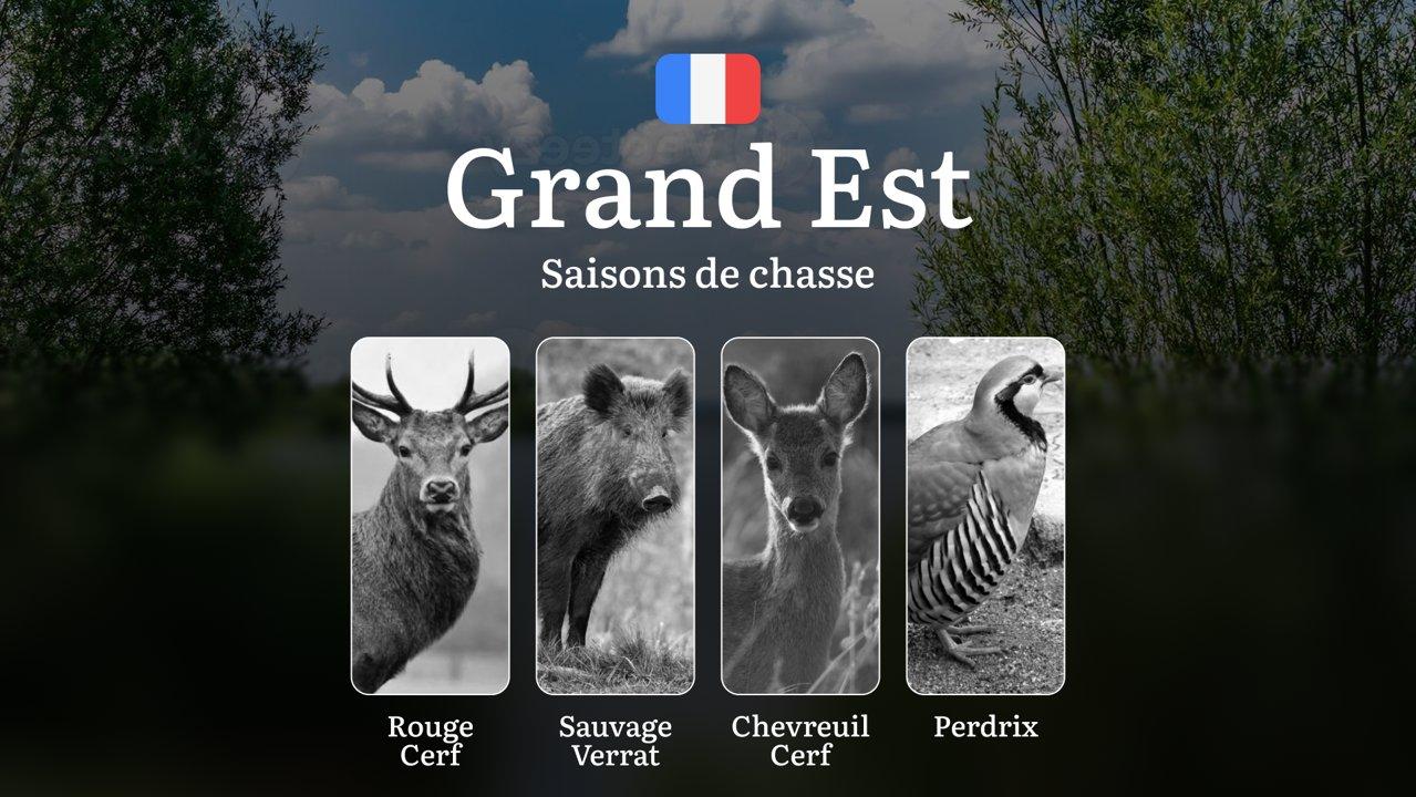 Saisons de chasse en GRAND EST: Calendrier, Règles générales, Périodes clés, Restrictions à respecter et Conseils pratiques