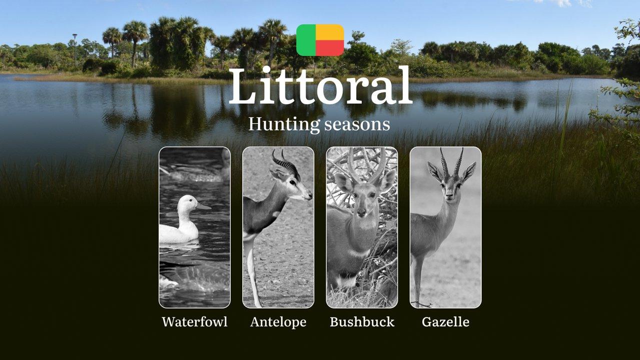Hunting Time in Benin’s LITTORAL Region: Hunting Periods, Openings and Closings, Licenses, Rules, and Times for Game