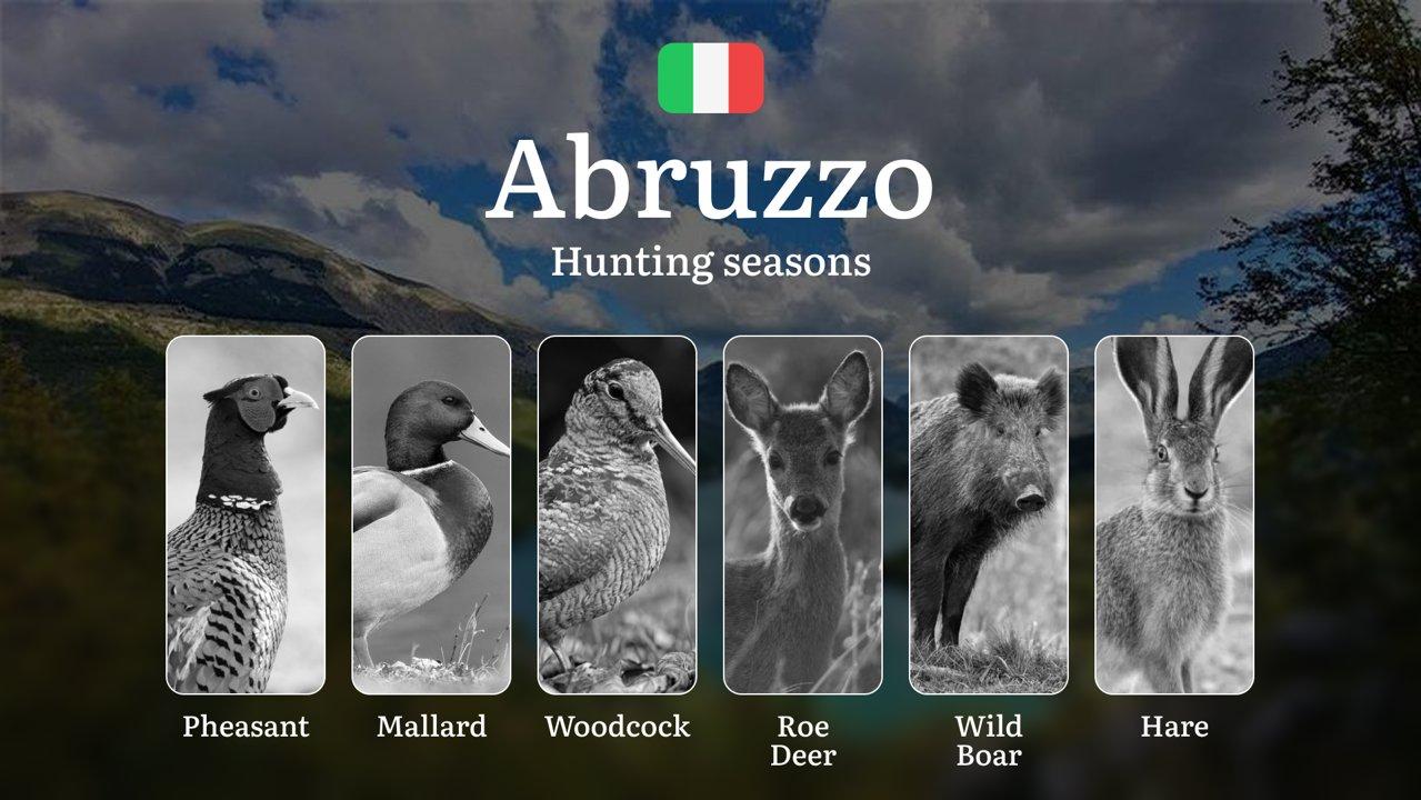 Abruzzo Hunting Seasons: Controlled Hunting Calendar in Europe's Wildest Apennine Terrain

Regulation and Hunting Periods in Abruzzo
The hunting season in Abruzzo typical