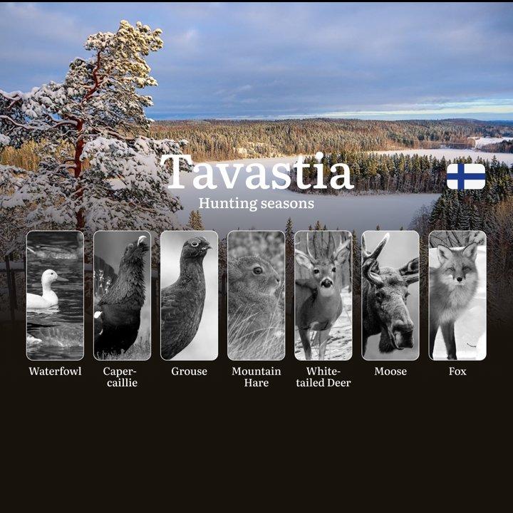 <strong>Hunting</strong> Seasons in TAVASTIA (HÄME): Opening and Closing Dates, Protected Species, Required Licenses and General <strong>Hunting</strong> Rules

Finland’s