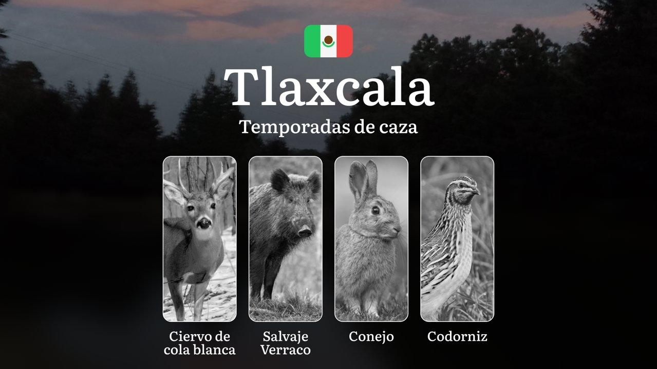 Temporadas y períodos de Caza en Tlaxcala: Patrones Estacionales y Regulaciones, Cómo Obtener un Permiso de Caza en la Región