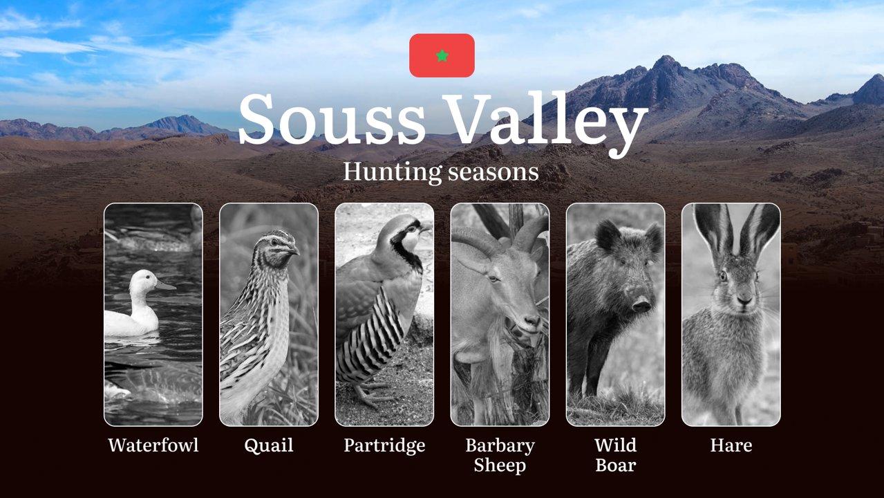 Hunting Periods and Permits in Souss Valley: A Detailed Look at Game Movement Throughout the Year, Seasonal Limits, and Licensing Requirements and Application Process 