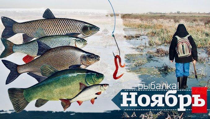 На что клюёт в ноябре: где и как ловить рыбу в России — снасти, наживки, места, нормы осенью 2025