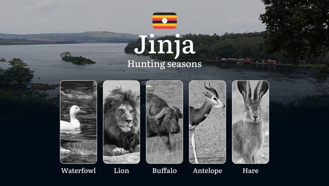 Jinja: Hunting Activity Periods, Protected Species and Seasonal Restrictions, Obtaining a License, Penalties That Affect Your Hunt, Expert Advice, Timing, Equipment

Hunt