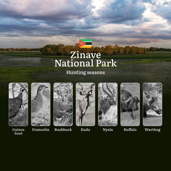 Zinave National Park Hunting Calendar: Hunting Seasons in Mozambique's Most Ambitious Wildlife Recovery Zone