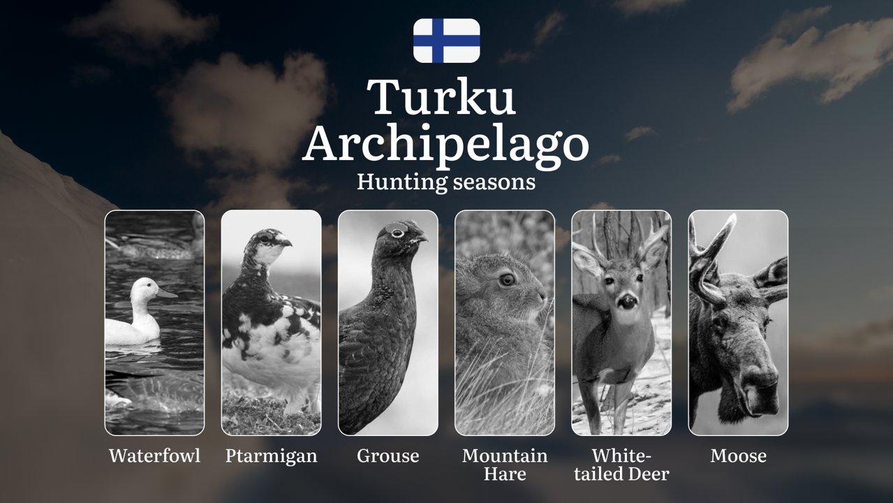 Hunting Seasons in TURKU ARCHIPELAGO: Key Opening/Closing Dates, License Requirements,  Restrictions and Vital Rules