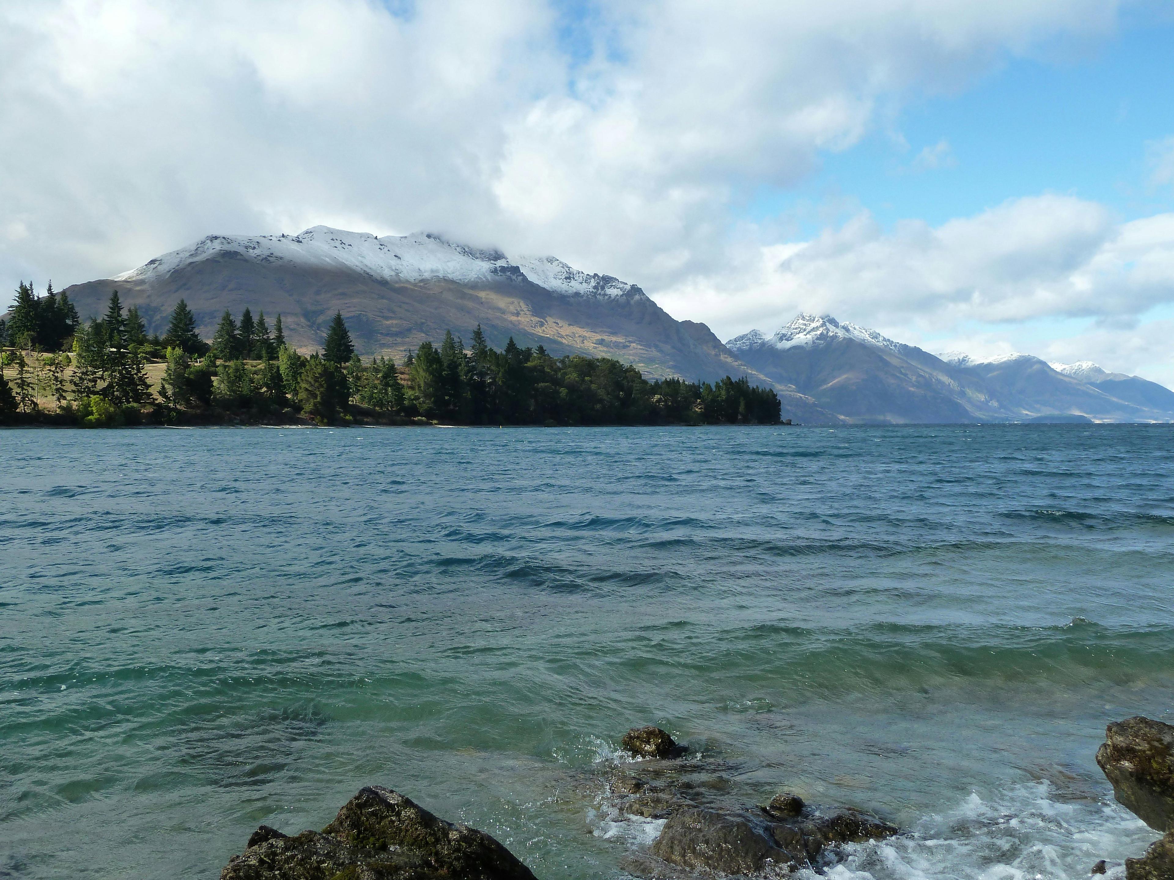 Ruahine Forest Park hunting trails for enthusiasts and experts: features, seasons, laws and  traditions Ruahine Forest Park hunting trails for enthusiasts and experts: features, seasons, laws and  traditions