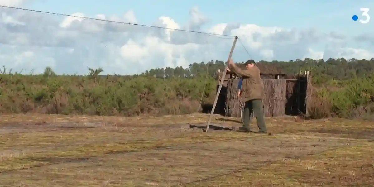 Le tribunal de Pau annule les arrêtés autorisant la chasse expérimentale aux pantes dans les Pyrénées-Atlantiques  Le tribunal de Pau annule les arrêtés autorisant la chasse expérimentale aux pantes dans les Pyrénées-Atlantiques